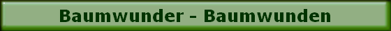 Baumwunder - Baumwunden